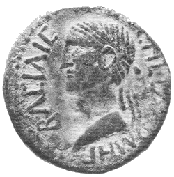 Salomei Coin